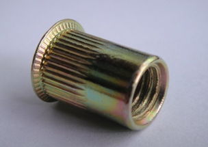 工廠直供，品質保障 佛山市南海颶鑫五金制品廠鍍鋅M6小頭豎紋鉚螺母產品解析